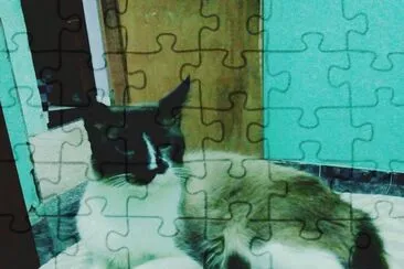 MEU GATO jigsaw puzzle
