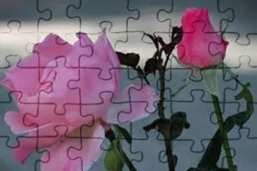 flores jigsaw puzzle