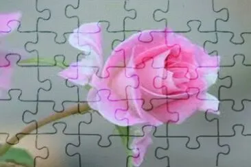 פאזל של flores