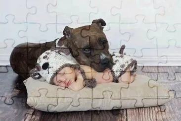 BB E CACHORRO