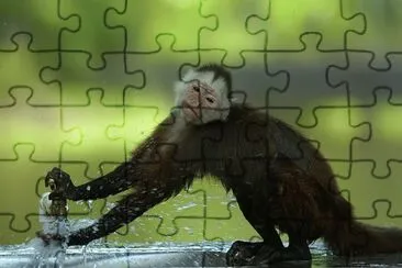 paisaje jigsaw puzzle