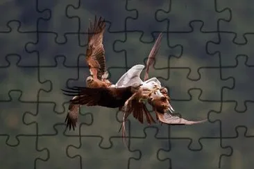 animales jigsaw puzzle
