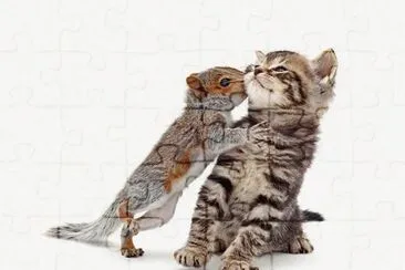 animales