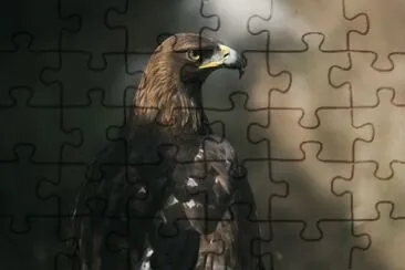 animales jigsaw puzzle