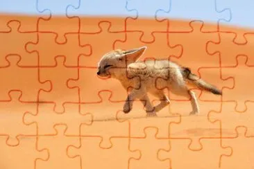 animales jigsaw puzzle