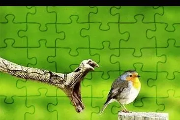 animales jigsaw puzzle