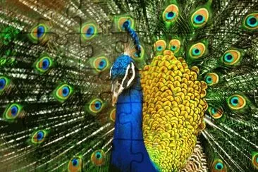 animales jigsaw puzzle