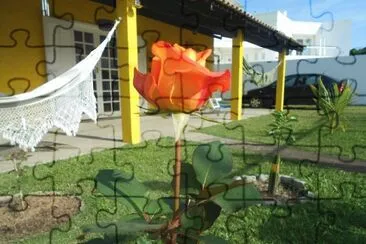 Flores frutas e verdes