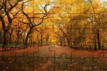 13 jigsaw puzzle
