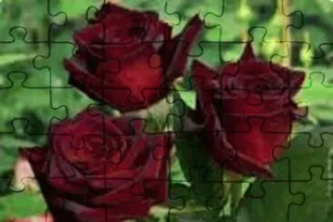 FLORES jigsaw puzzle