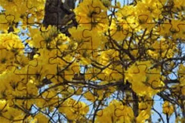 NATUREZA jigsaw puzzle