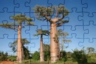 NATUREZA