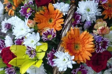 Flors