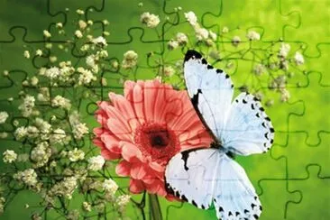 flor