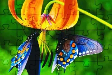 85 jigsaw puzzle