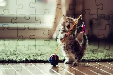 animales jigsaw puzzle