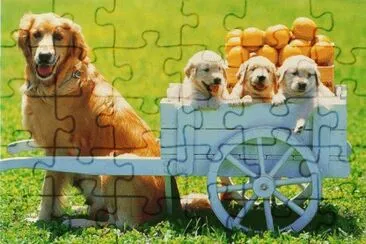 animales jigsaw puzzle