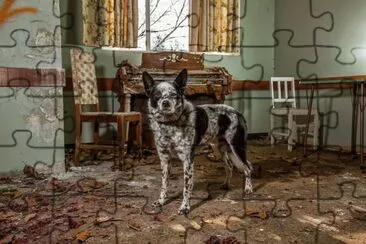 animales jigsaw puzzle
