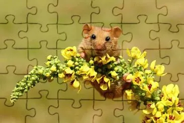 פאזל של animales