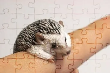 animales