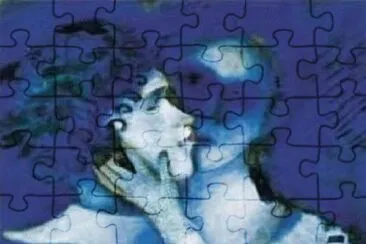 1 jigsaw puzzle