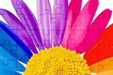 draw jigsaw puzzle