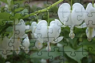 coeur de marie jigsaw puzzle