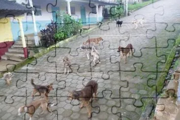 Clan de Perros en PÃ³zul