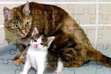 Minina y Minino