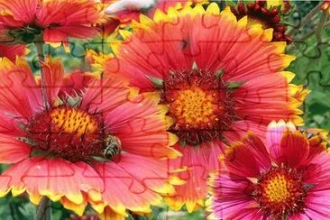 57 jigsaw puzzle