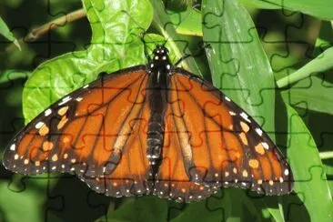 . jigsaw puzzle