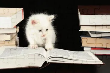 estudiante jigsaw puzzle