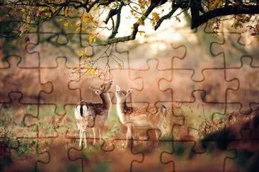 paisajes jigsaw puzzle