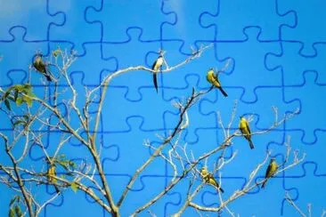 Tesourinhas jigsaw puzzle