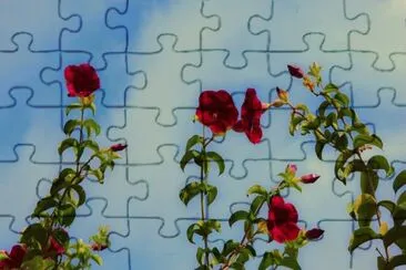 Galhos Floridos jigsaw puzzle