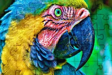 pajarraco