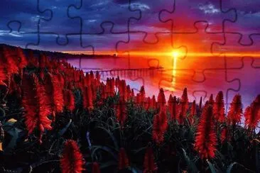 paisagem