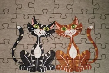 gatos jigsaw puzzle