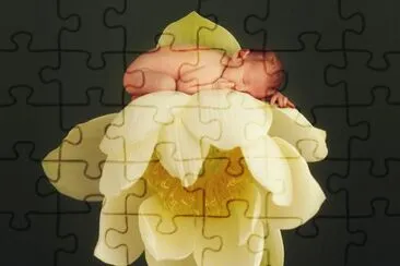 boccioli jigsaw puzzle