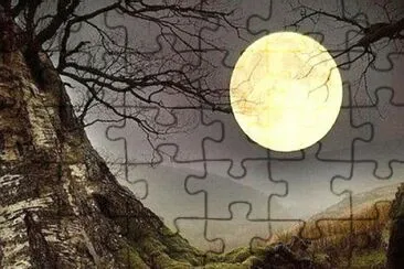 views jigsaw puzzle