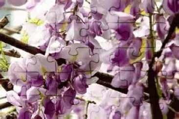 ç´« jigsaw puzzle
