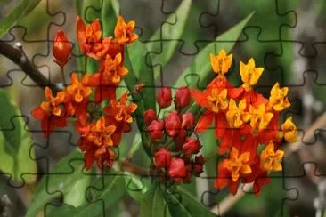 flor de seda