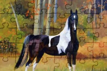 cavalo jigsaw puzzle