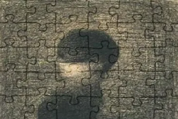 157 jigsaw puzzle