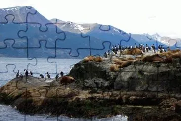 פאזל של Tomada en Tierra del Fuego. Argentina