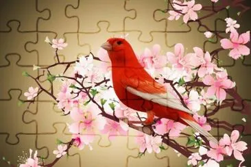 canario jigsaw puzzle