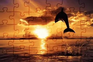 765