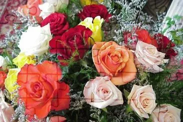 Rosas jigsaw puzzle