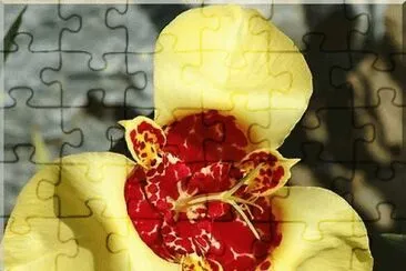 fleur jigsaw puzzle