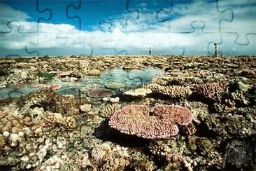 פאזל של Gran Barrera de Coral. Australia
